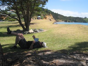 New Zealand Mangonui
