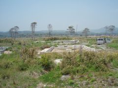 Where water hit the land..   Befoe the tsunami this was a neighbourhood like any other.  It was haunting and emotional to drive through and stroll about.   We picked up tiny toys where children once played. 